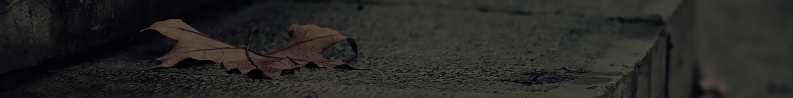 explainer-videos-banner